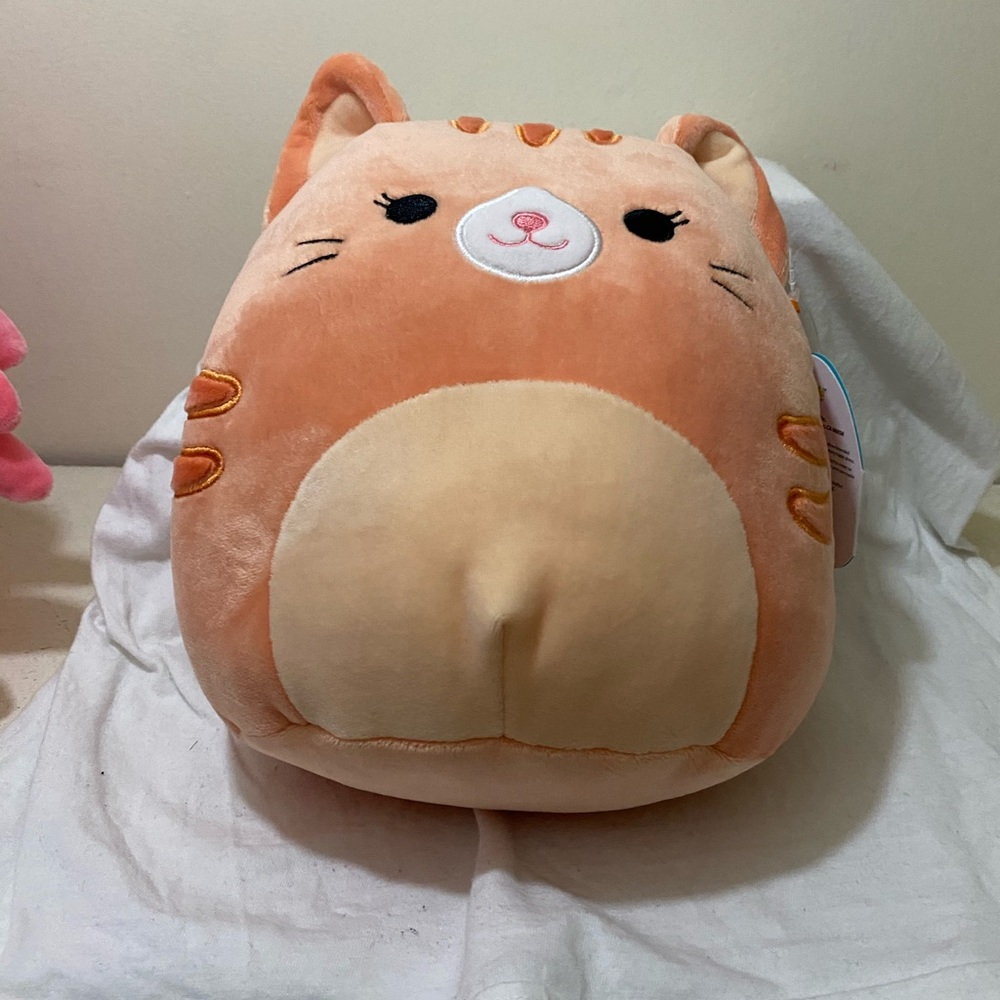 Gigi the cat squishmallow
